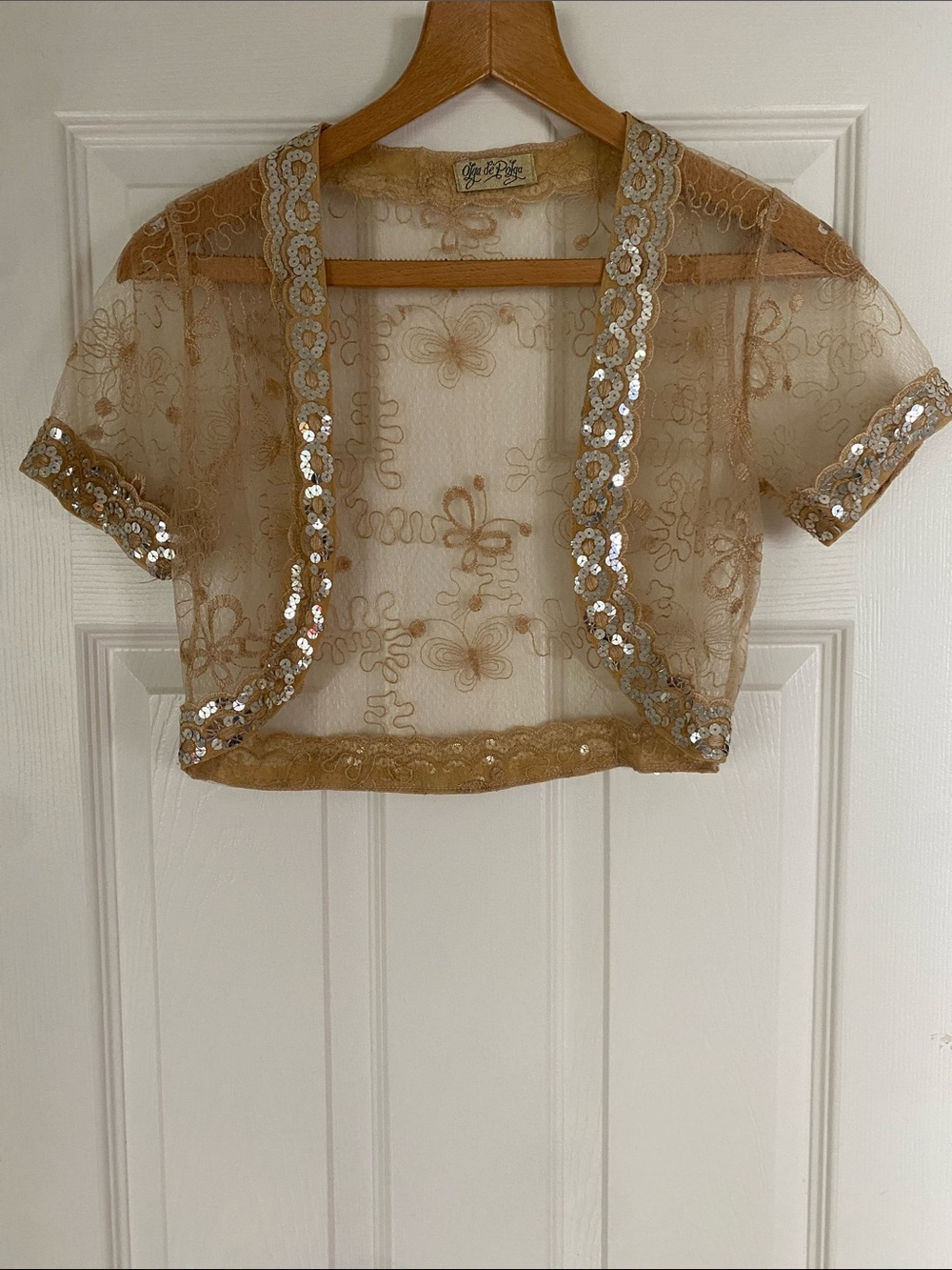 Delicate Sequin Embellished Sheer Bolero - Tan